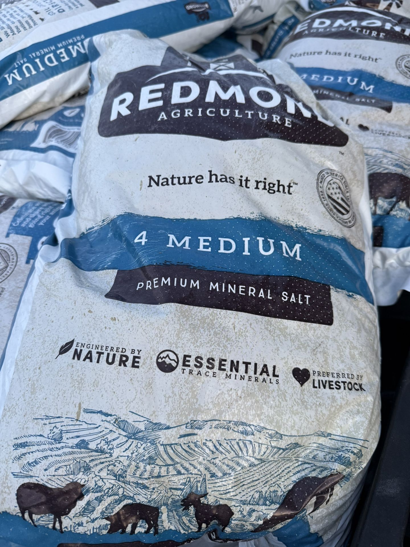 Redmond Agriculture Animal Salt, Medium 4