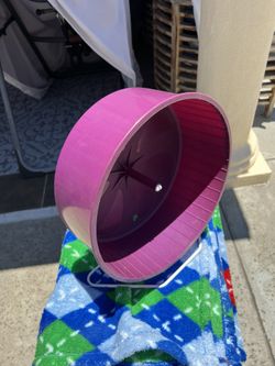 Large hamster wheel