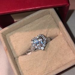 Silver Ring (plata)