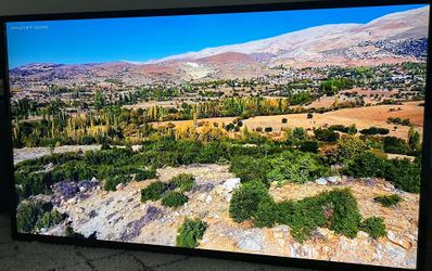 60" Vizio TV w/ Roku