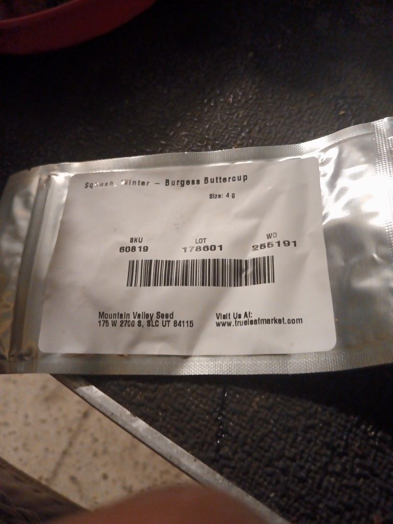 Squash Burgess Seeds