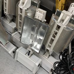 Tomato Indoor Lights 