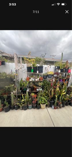 647 w Altadena dr Altadena ca sale Friday 8/14 to sun8/16