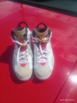 I have the Jordan haters in mint condition
