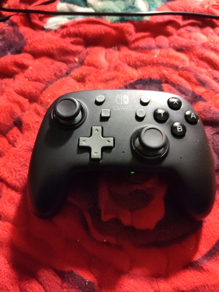 Nintendo Switch Controller 