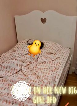 Twin Bed Frame w Mattress