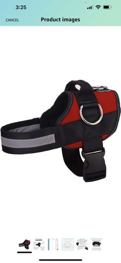 Small Dog Harness