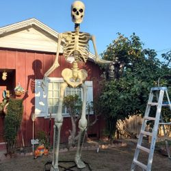 12 Feet Skeleton