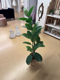 52” Artificial Rubber Tree Plant in Woven Basket – Faux Ficus Decor