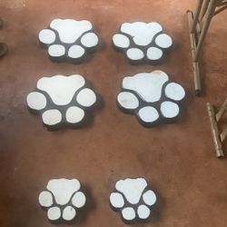 Dog Paws 