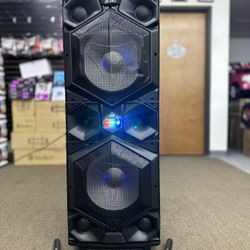 Dual 15” Professional Party Speaker w/ two mics
