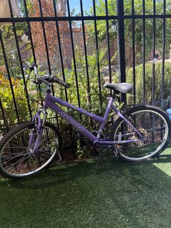 Magna Purple Bike
