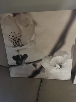 Photography Prints On Canvas