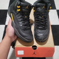 Air jordan 12 black taxi