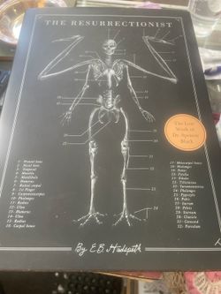 Vintage skeleton drawing book artwork