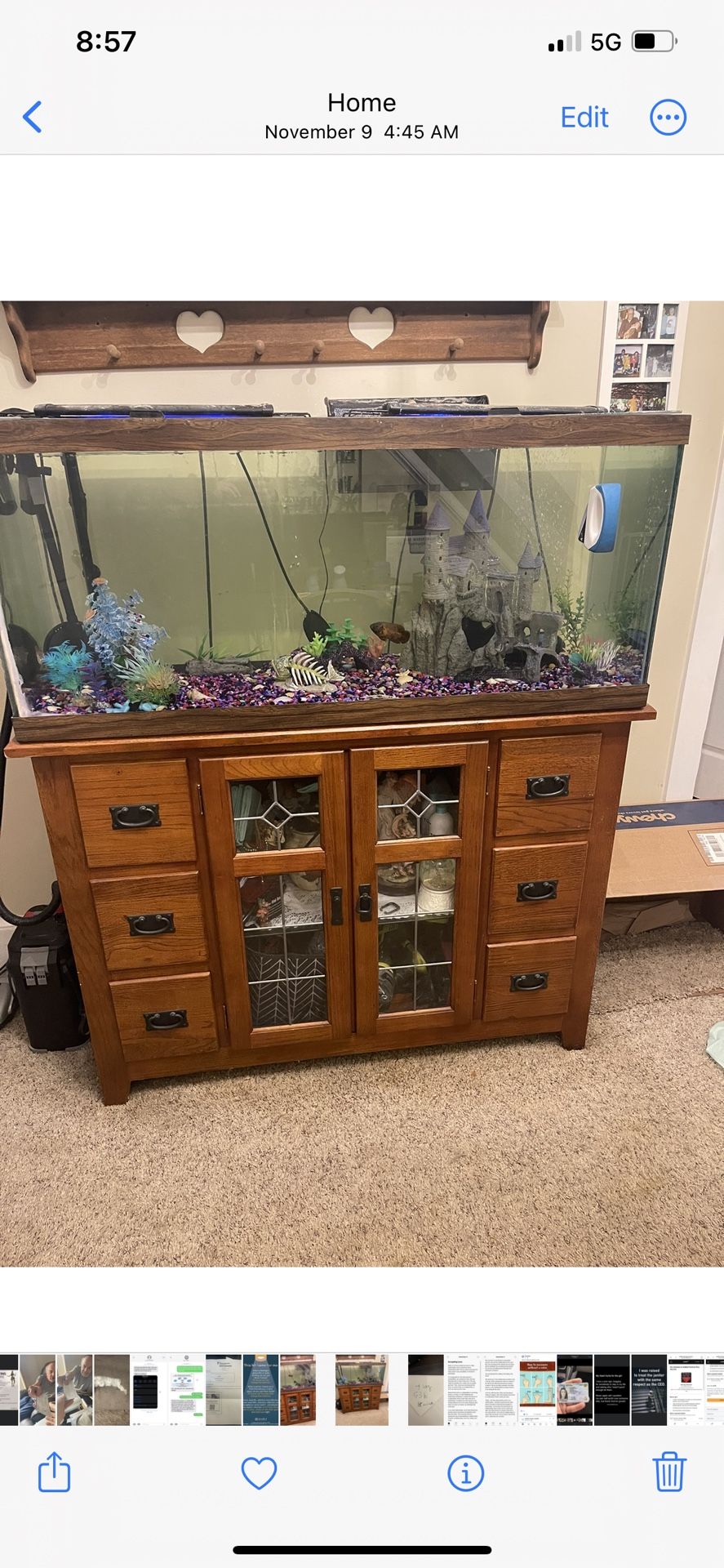 Fish Tank  And Stand  And  Fish 