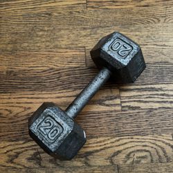 20lb Dumbbell