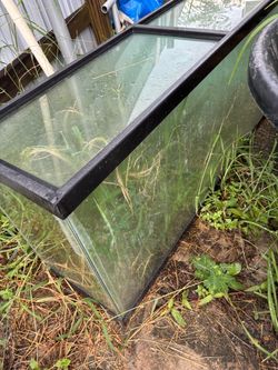 75 Gallon Aquarium