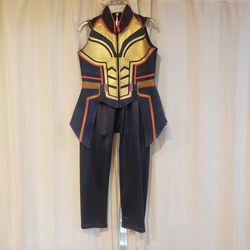 THE WASP Costume