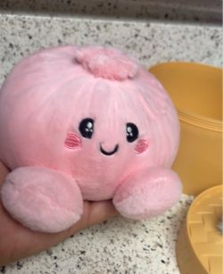 RMS rainbow plush dumplings