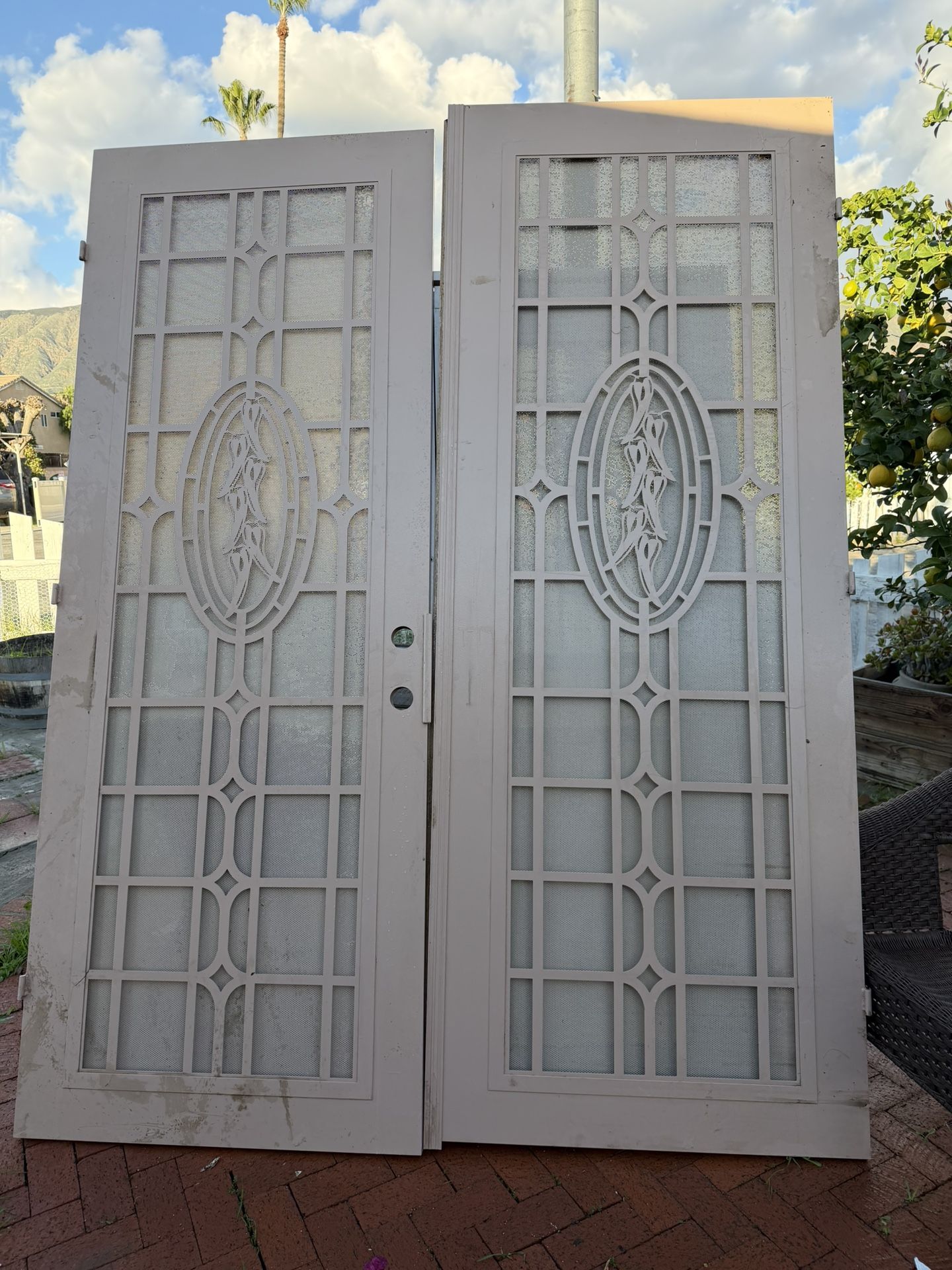 Aluminum Doors W Design 