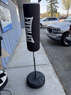 Kids Everlast Punching/Kicking Bag