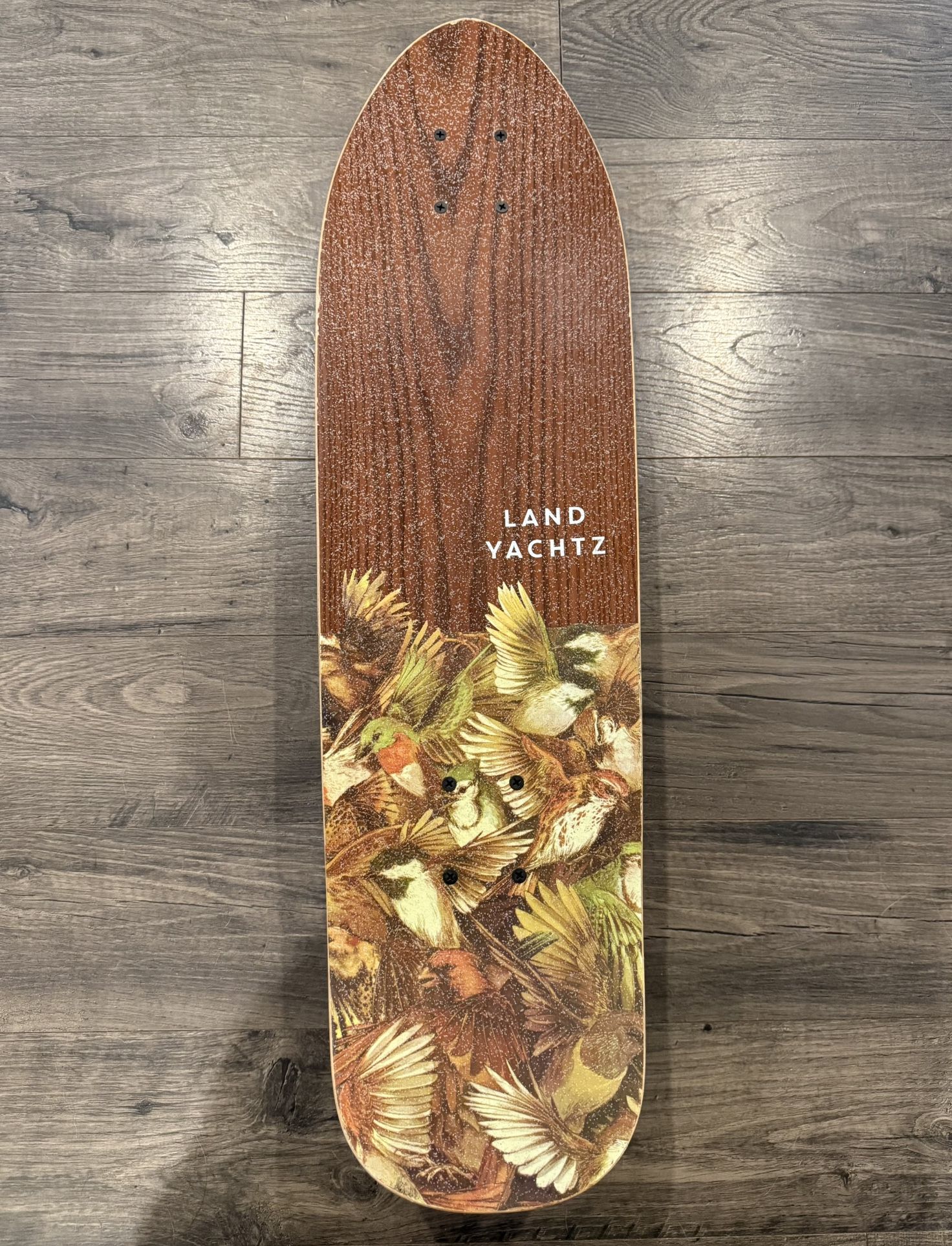 Landyachtz Dinghy Birds 28.5" Cruiser Skateboard - Maple, Bear Trucks, Hawgs Wheels
