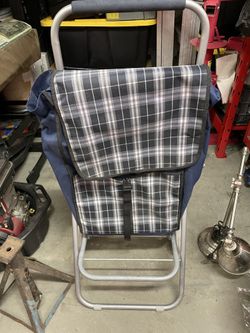 Grocery Shopping Kart