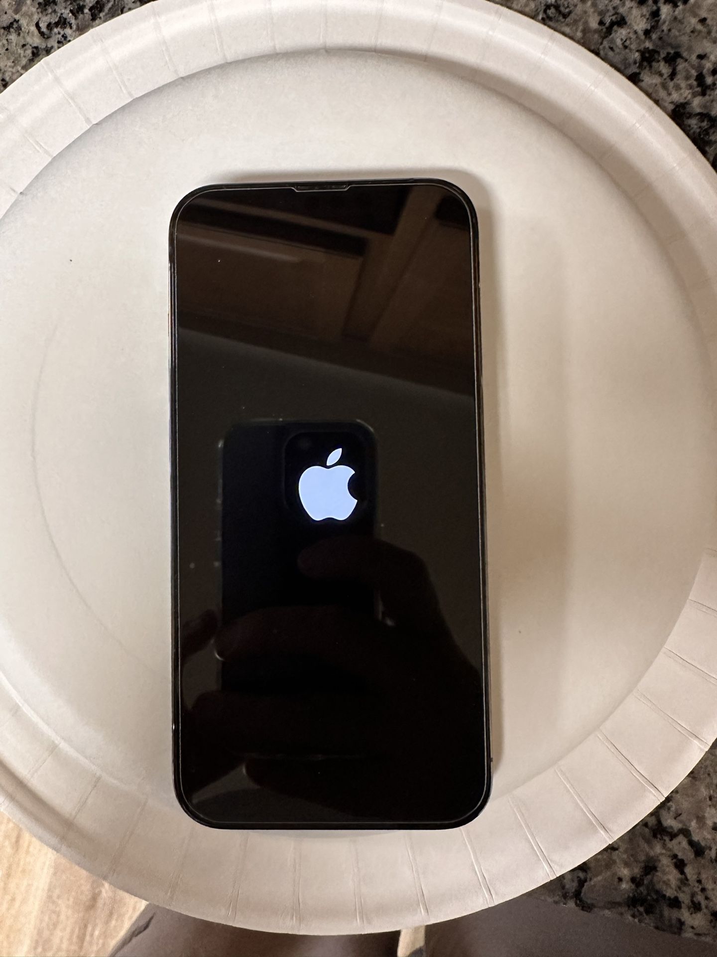 iPhone 13 Pro Green