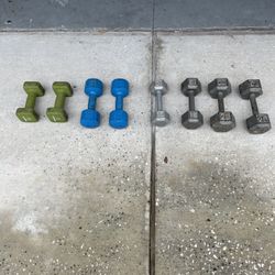 101 Lbs Of Dumbbells