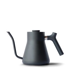 Fellow Stagg EKG Electric Kettle
