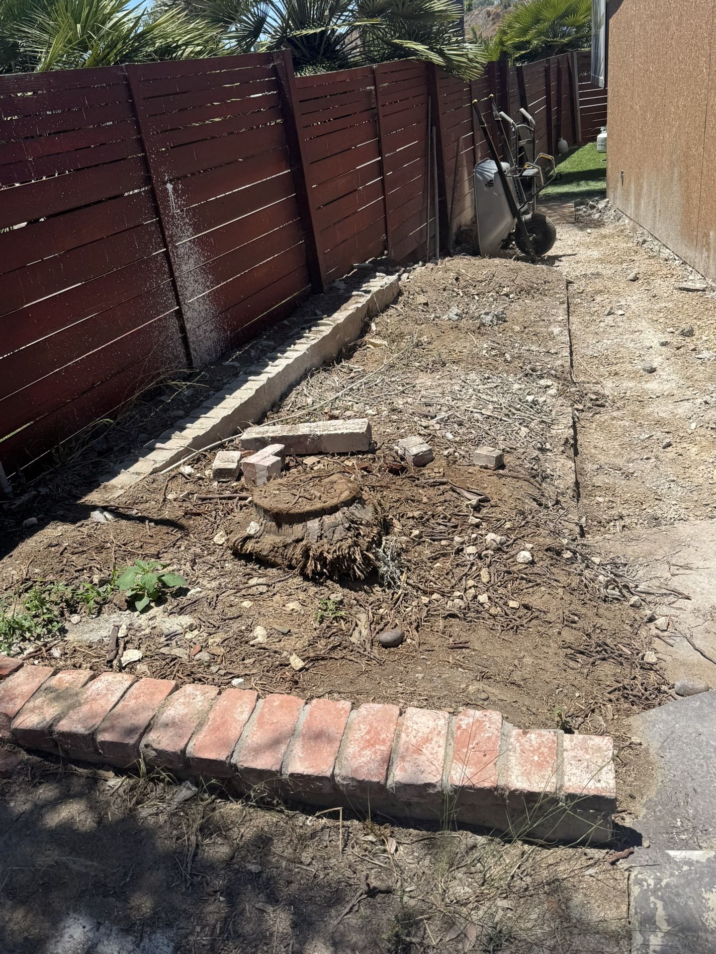 Need Stump Dug Out 