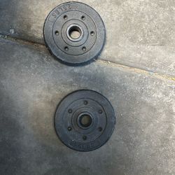 2.5 Weights Covered In Plastic