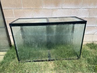 120 Gallon Tank/Aquarium