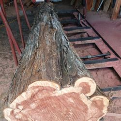 Rustic Slices And More 