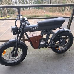 YYG Adult Electric Bike 