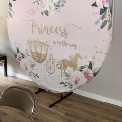 Baby Shower Princess Theme Backdrop