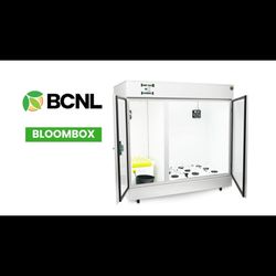 Bloombox: hydroponic complete system