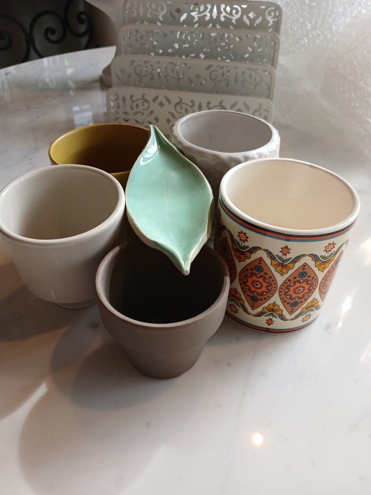 Plants Pots