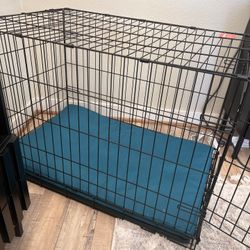 Collapsible Dog Crate 36 Length Plus Crate Pad -New
