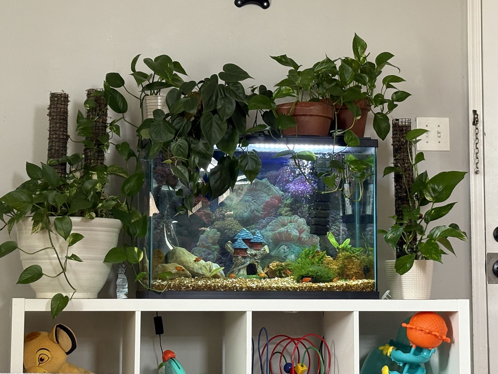 30 Gallon tall Aquarium