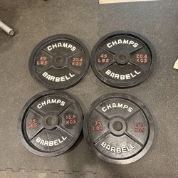 160lb iron plate set