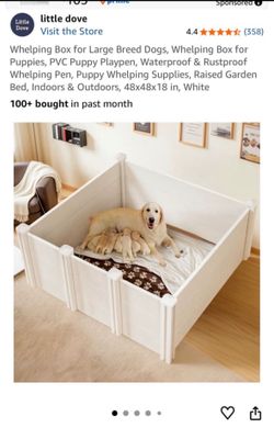Dog Kennel