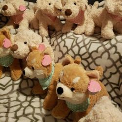 Peluches ♥️ 