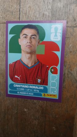 Panini world cup