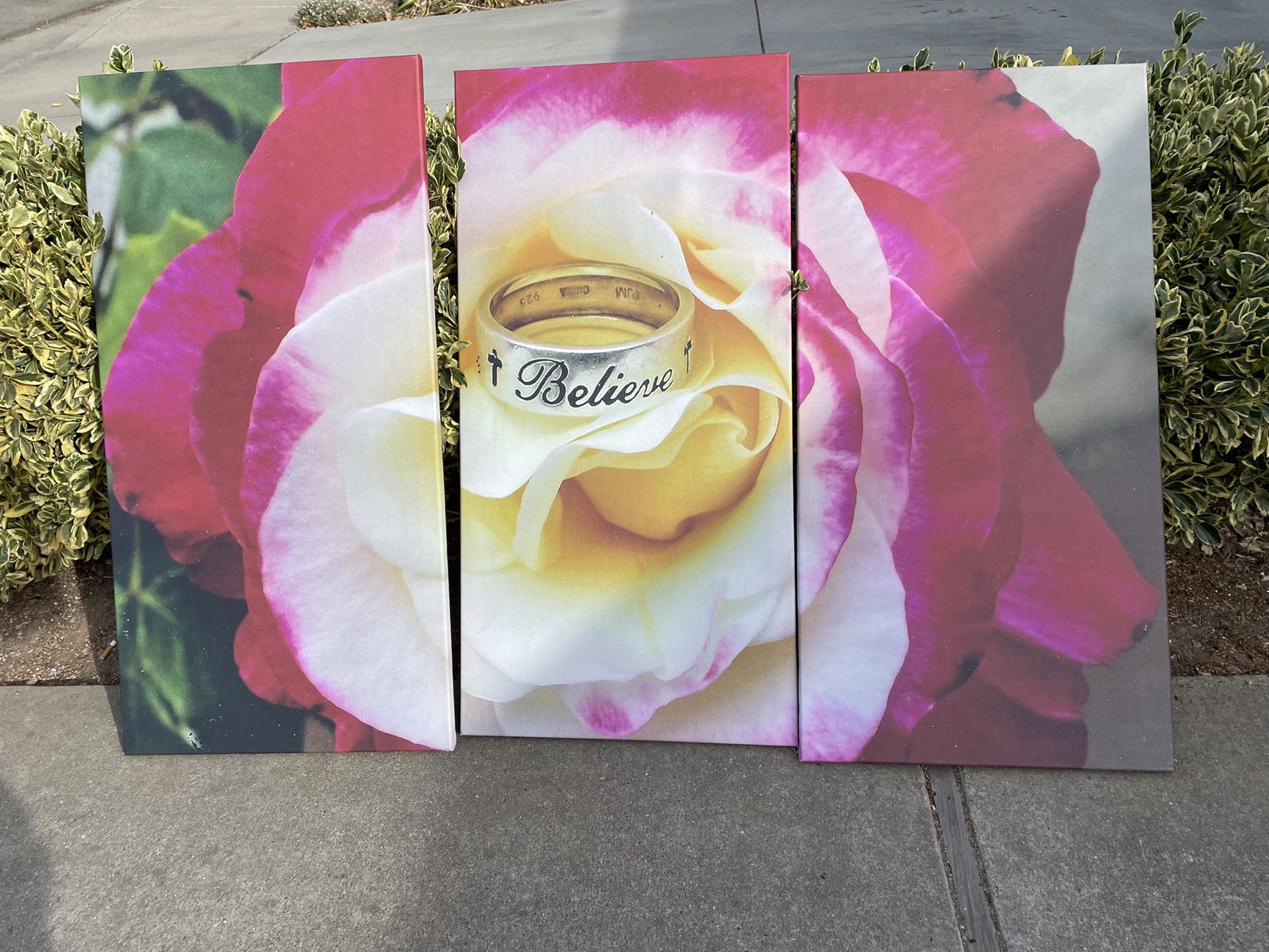 Double Delight Rose Wall Picture