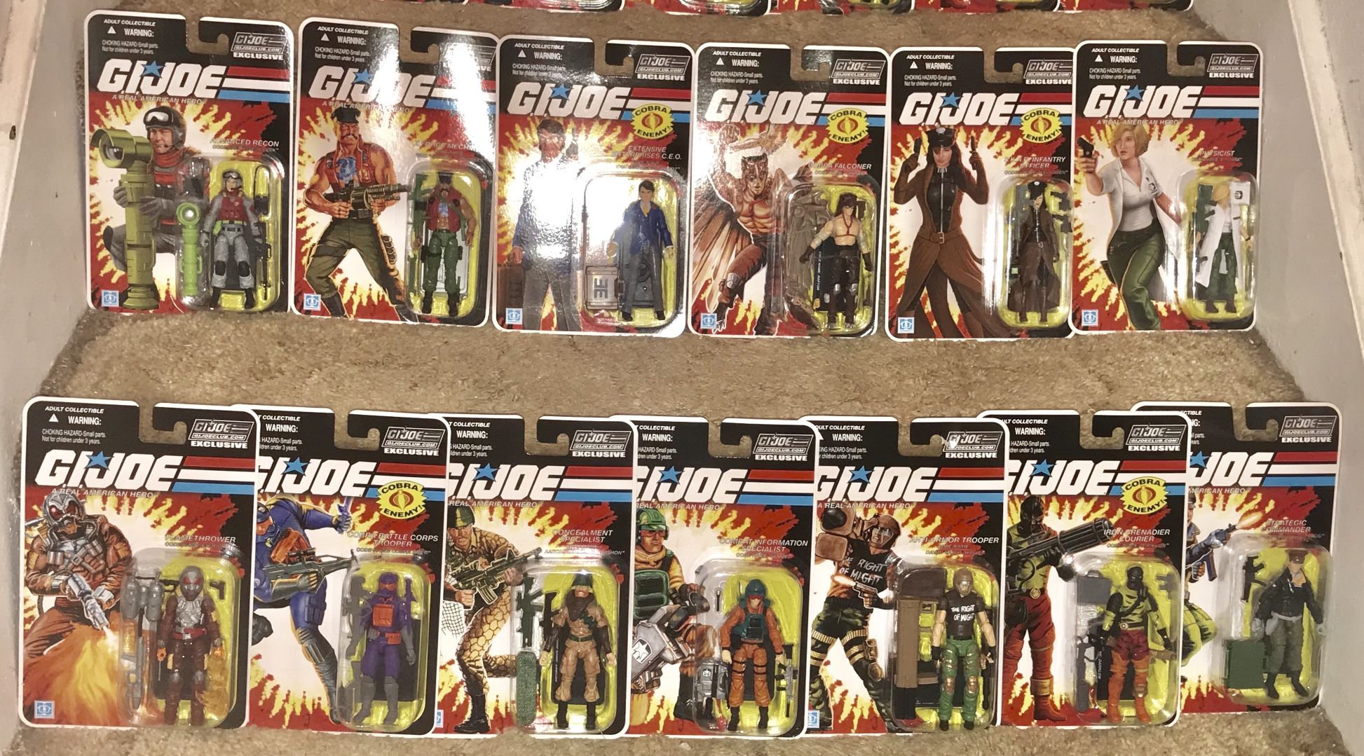 Joe FSS Collector's Club exclusive figures still MOC!