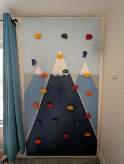 Rock Climbing Wall 200 OBO