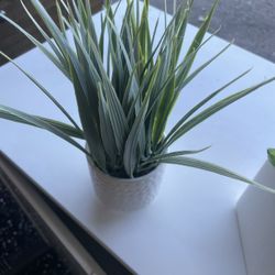 Small Fake Plants 