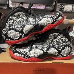 Nike Foamposite Size 91/2